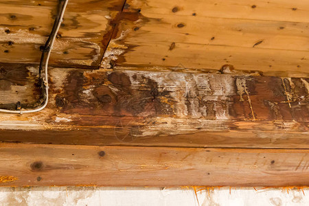 水损坏天花板和墙壁一图片