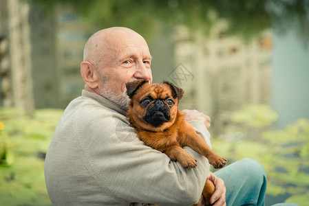 祖父带着一只格里芬犬图片