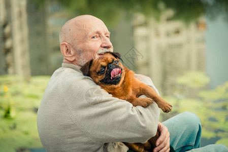 祖父带着一只格里芬犬图片