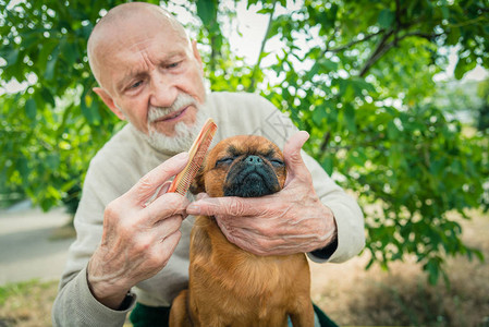 祖父带着一只格里芬犬图片