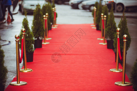 红地毯传统上用于标记元首在仪式和正式场合所走的路线图片