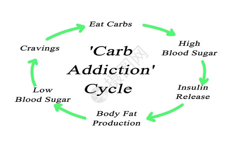 碳水化合物成瘾循环图图片