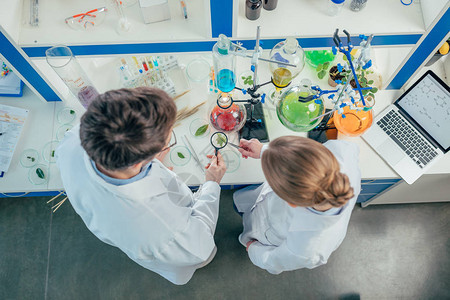 生物学家在用管子的实验室中与植物和花图片