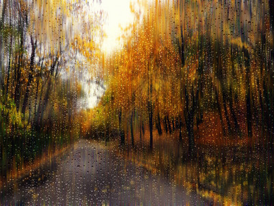 透过雨玻璃的秋景图片