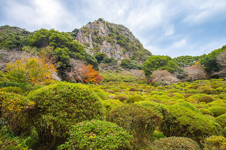 日本佐贺御船山花园景观图片