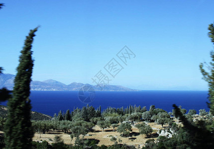 海树和山背景图片