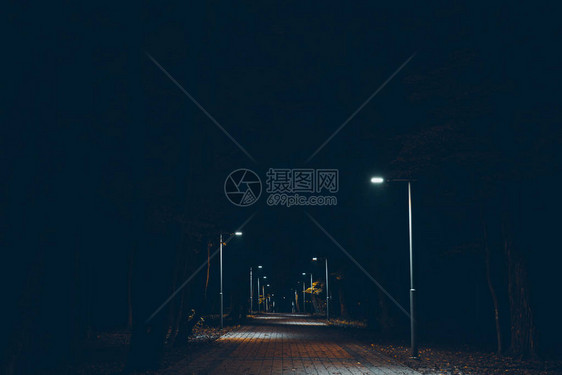 夜晚的城市公园路灯火通明图片