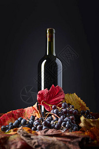 红酒瓶和干醋叶葡萄酒饮料和秋天概念黑色背图片