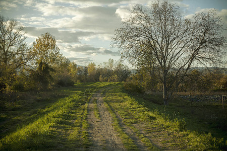 秋季末秋的农村公图片