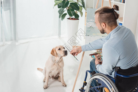 轮椅上的残疾画家给狗刷子图片