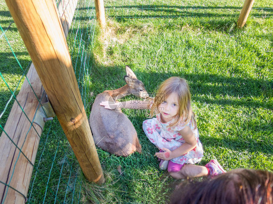 四岁的金发孩子用手抚摸一只小鹿躺在绿草地上看图片