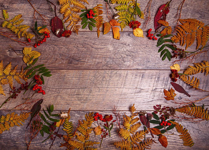木制背景上的五颜六色的树叶和秋天的花朵秋天的概念图片