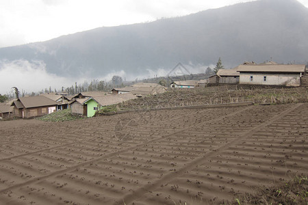 布罗莫火山喷发的火山灰覆盖了整个村庄农场和农业印度尼西图片