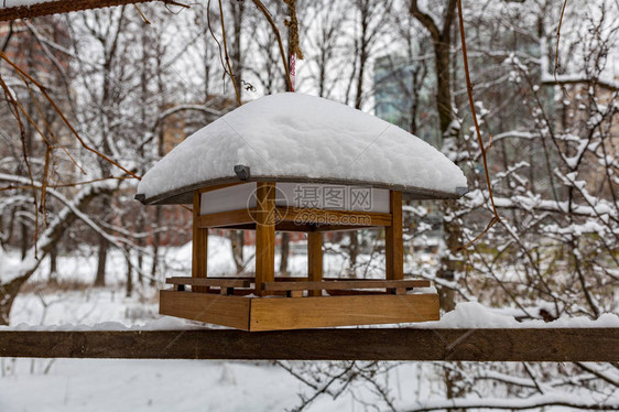 雪覆盖的冬季城市公园中图片