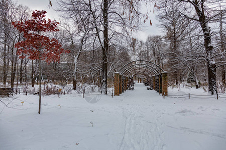 寒冷的冬天大雪纷飞的废弃城市公园图片