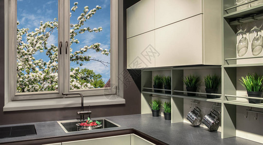 现代厨房家具以高科技的风格窗户俯视着图片