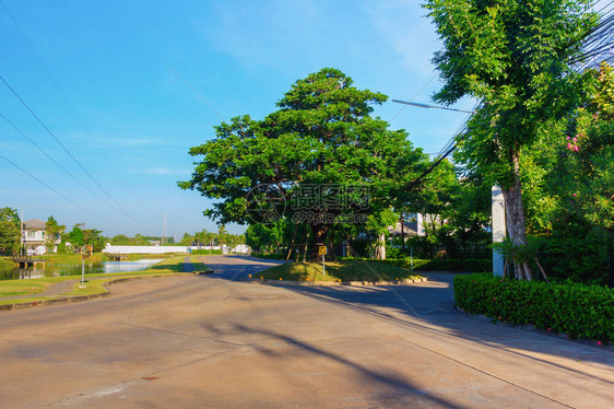 大树村水泥路图片