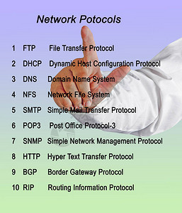 介绍十种网络协议的人图片