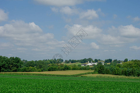 农村的一个农场图片