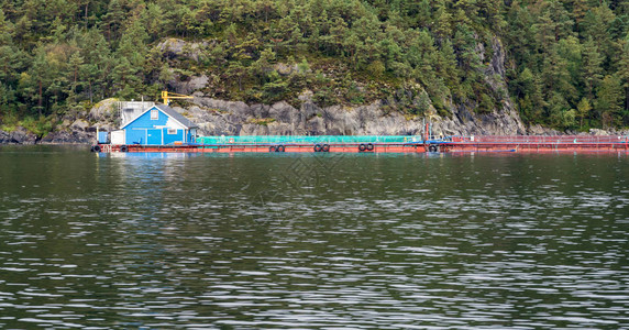 挪威斯塔万格附近的工业规模鲑鱼和鳟鱼养殖图片