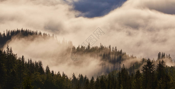 奇妙的雾天和阳光明媚的山丘戏剧早晨风景喀尔巴阡山图片