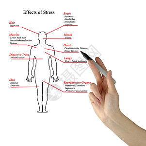 女呈现压力的影响图片