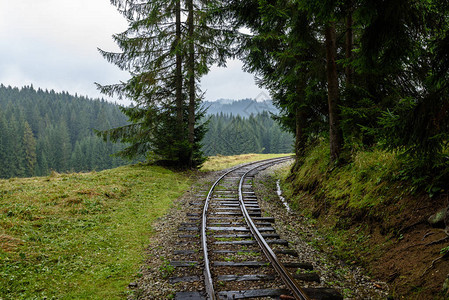潮湿的夏日长河铁路轨迹在森林中地平背景图片
