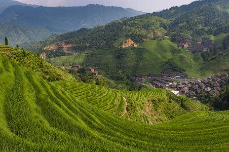 广西省大寨村及周边龙胜梯田的美丽景色背景图片