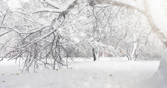 白雪覆盖的冬季公园和长椅喂鸭和鸽子的公园和码头雪覆盖图片