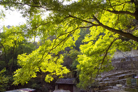 世界地质公园上房山图片