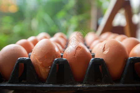 面板鸡蛋中的碎鸡蛋选择焦点图片