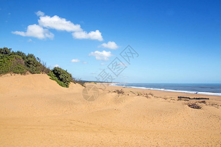 南非德班附近的姆通齐尼海滩空荡的沙滩和沙丘植被与海云和蓝天海岸图片