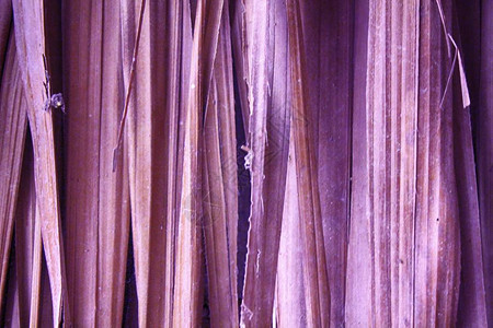 紫色竹墙纹理背景木质纹理图片