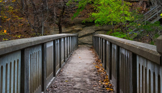 秋天五颜六色的公园里的大石桥图片