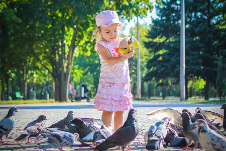 一个孩子喂鸽子选择焦点图片