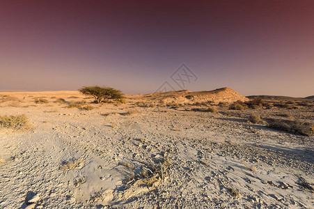 以色列内盖夫沙漠的多姿彩的岩石山丘图片