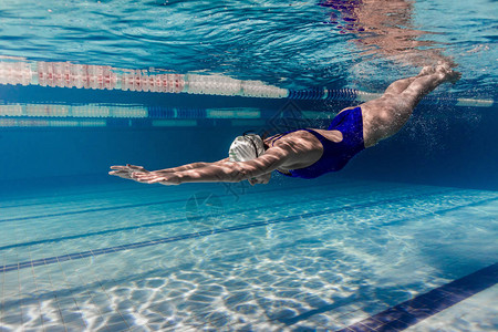 游泳衣和泳池护目镜训练中的女游泳背景图片