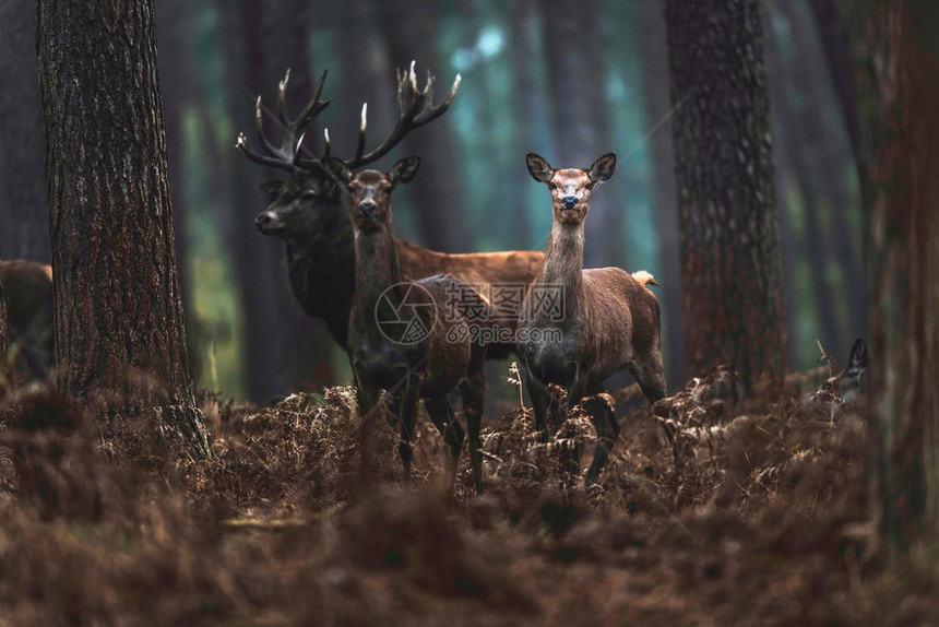 双方为季后赛席位展开殊死搏斗