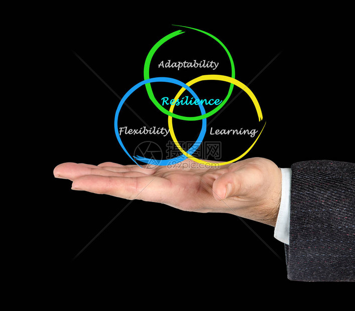 显示复原力各组成部高清图片下载正版图片505085899摄图网