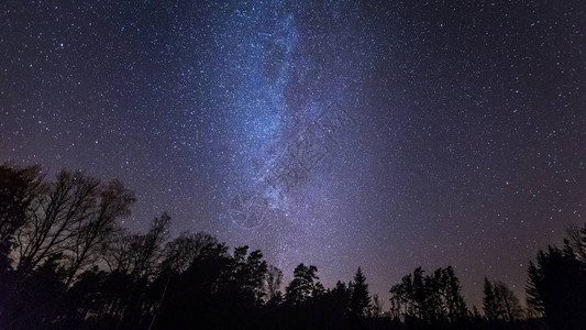 美丽的夜空与银河在森图片