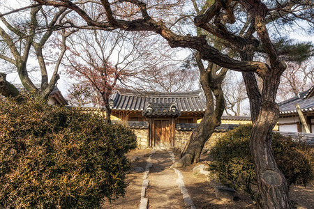 位于韩国南部庆州Gyodong村的gyongju传统庄园中富贵的c图片