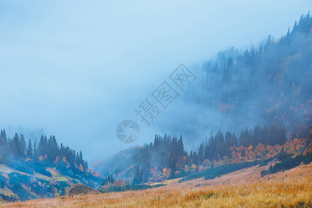 云雾缭绕的山景山峰之上图片