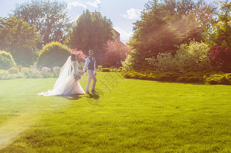 美丽的已婚夫妇在草地上行走满是日落的温暖光芒树图片