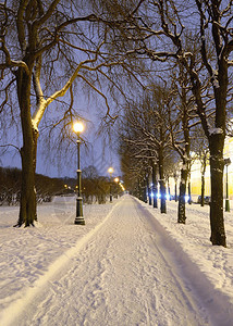 城市街道上满是白雪灯光图片