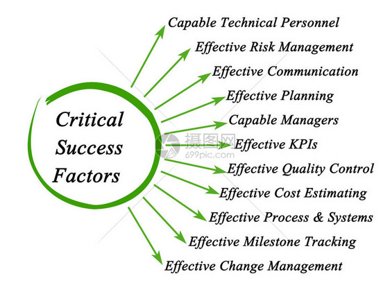 十一个关键成功因素图片