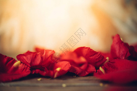 红玫瑰花瓣自然美丽的花朵从花园里为情人节在木地板上的情人节婚礼或浪漫爱情人节概念图片