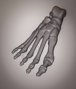 在3d打印机上打印的白色原型人脚骨架在白色背景上隔离熔融沉积建模图片