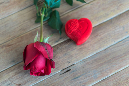 红玫瑰花自然美丽的花朵来自花园和环形红盒心形设计图片