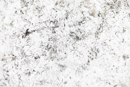 雪地上的脚印第一场雪上的脚印鞋子和脚印动物和鸟类在图片