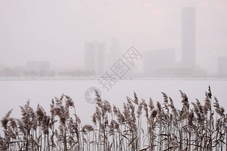 叶卡捷琳堡在城市池塘岸上的雪里图片